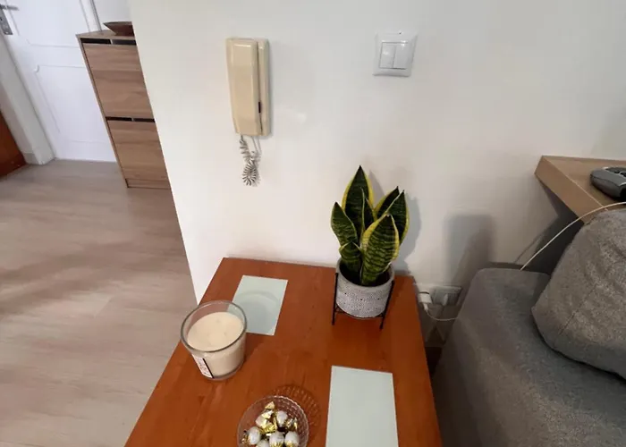 Apartment 14 In Garden